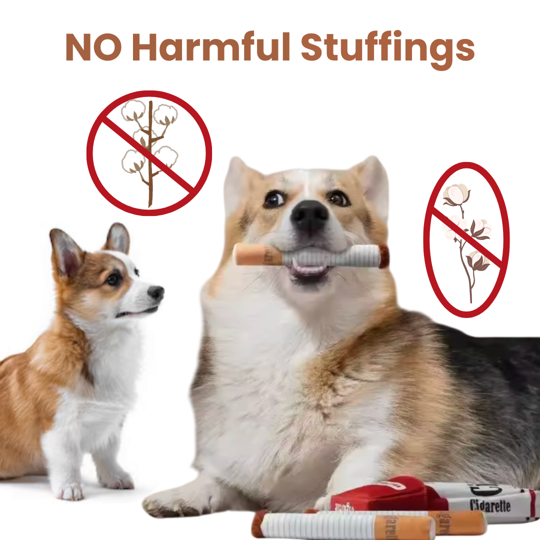 Soft Plush Interactive Chew Toy