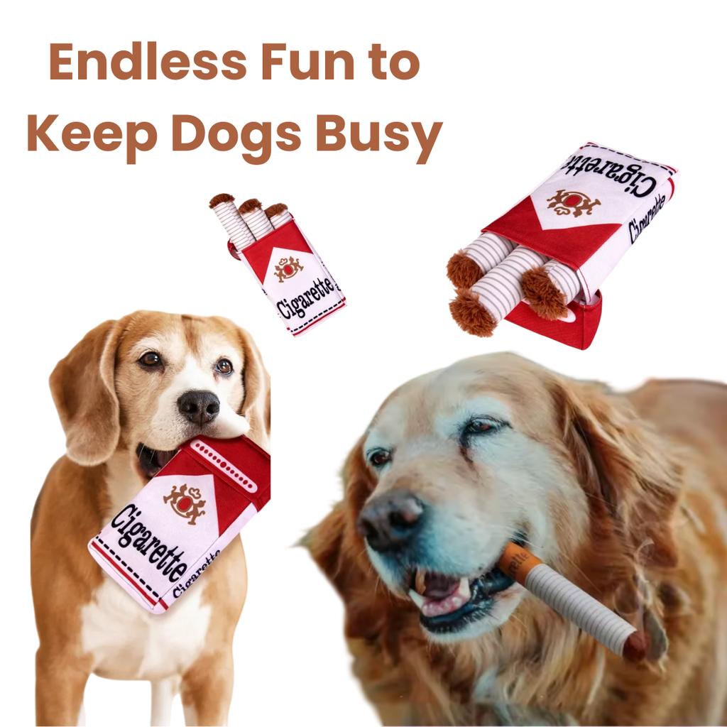 Soft Plush Interactive Chew Toy