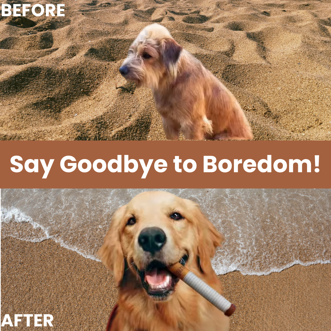 Soft Plush Interactive Chew Toy