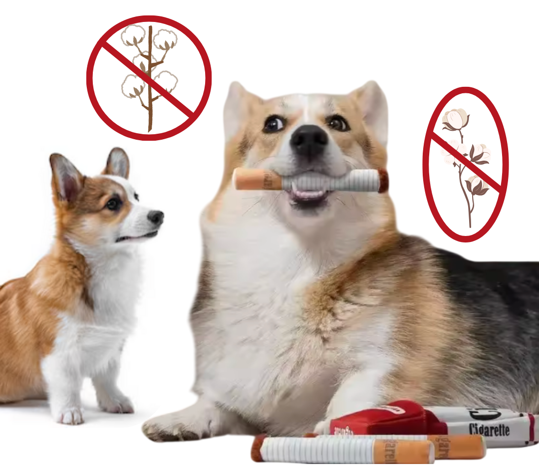 Soft Plush Interactive Chew Toy